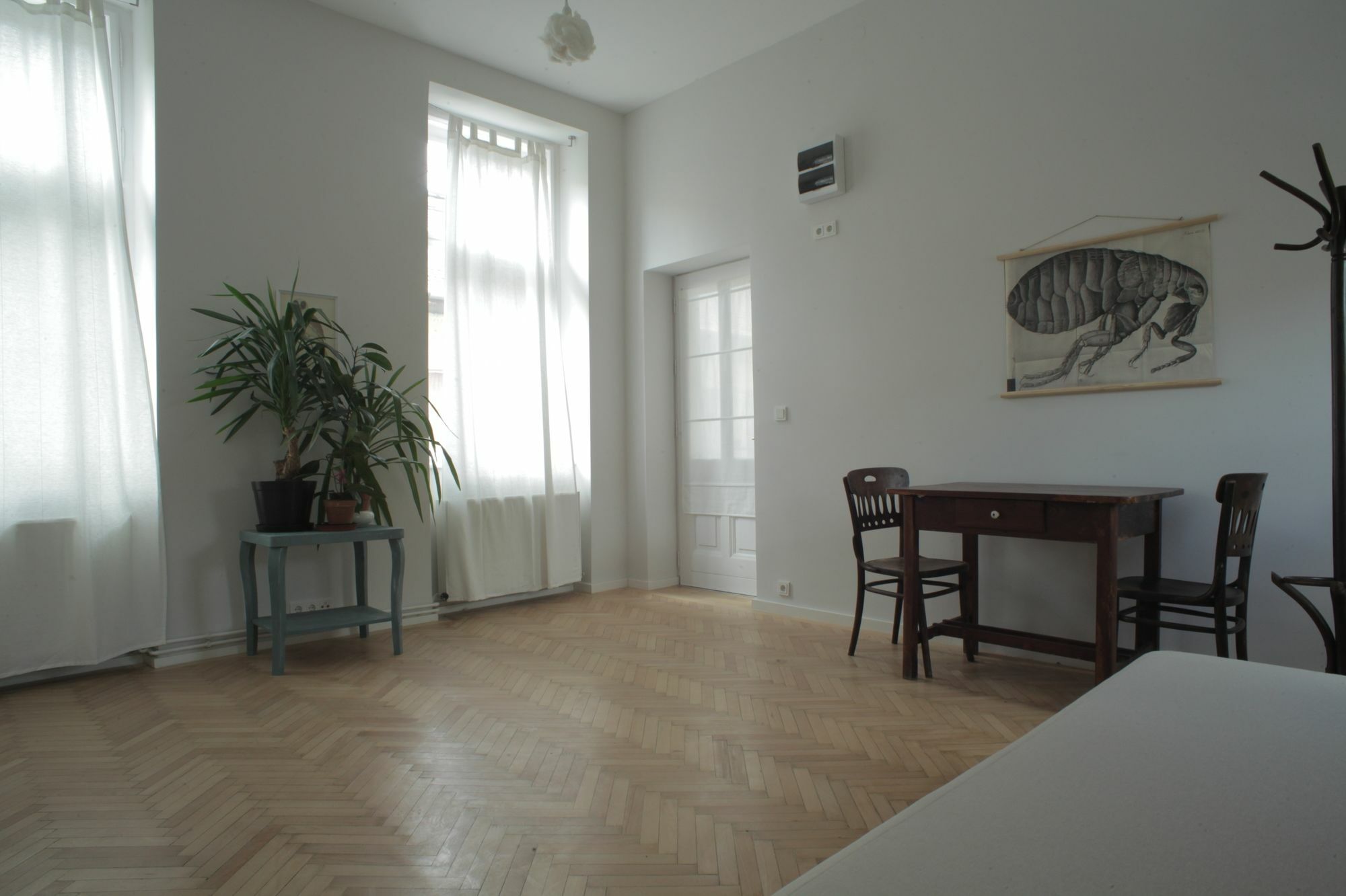 Bpm-Apartment Charm And Le Petit Budapest Exteriör bild